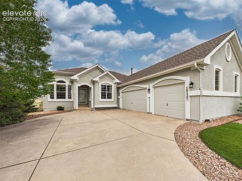 Photo of 16125 Gold Creek Drive, Monument, CO 80132 (MLS # 6942627)