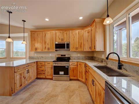Tiny photo for 748 Pinewood Road, Florissant, CO 80816 (MLS # 3315007)