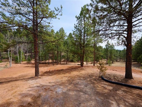 Tiny photo for 748 Pinewood Road, Florissant, CO 80816 (MLS # 3315007)