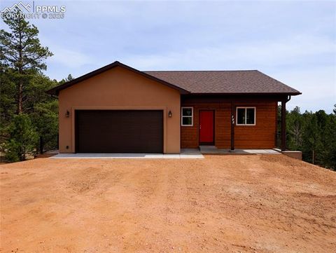 Photo of 748 Pinewood Road, Florissant, CO 80816 (MLS # 3315007)