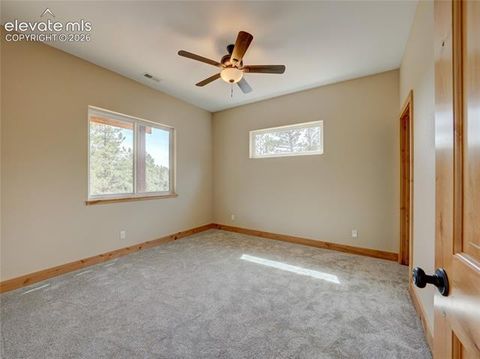 Tiny photo for 748 Pinewood Road, Florissant, CO 80816 (MLS # 3315007)