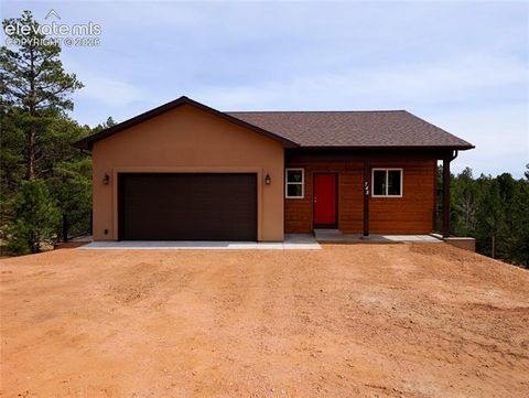 Photo of 748 Pinewood Road, Florissant, CO 80816 (MLS # 3315007)