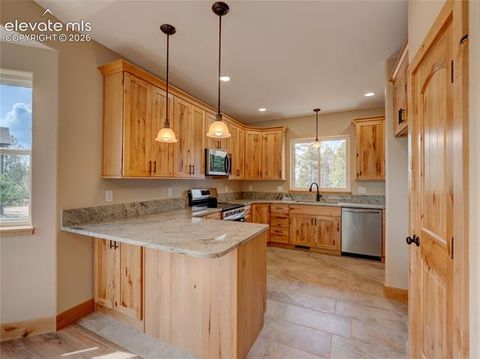 Tiny photo for 748 Pinewood Road, Florissant, CO 80816 (MLS # 3315007)