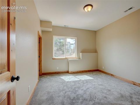 Tiny photo for 748 Pinewood Road, Florissant, CO 80816 (MLS # 3315007)
