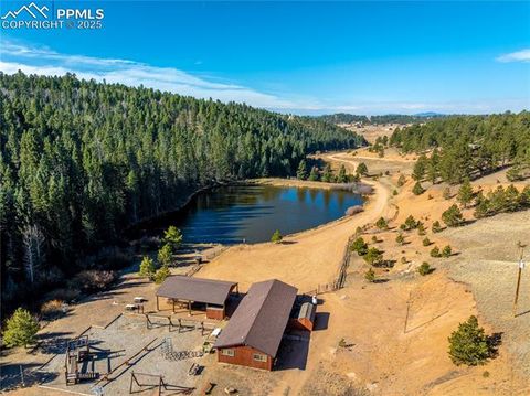 Tiny photo for 70 Cheesman Lake Circle, Divide, CO 80814 (MLS # 5467368)