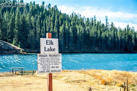 Tiny photo for 70 Cheesman Lake Circle, Divide, CO 80814 (MLS # 5467368)