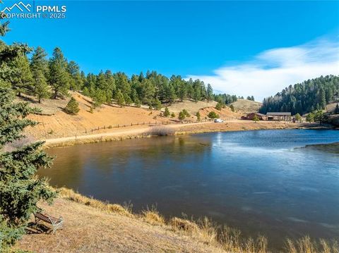 Tiny photo for 70 Cheesman Lake Circle, Divide, CO 80814 (MLS # 5467368)