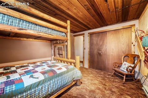Tiny photo for 70 Cheesman Lake Circle, Divide, CO 80814 (MLS # 5467368)