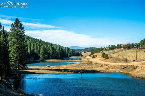 Tiny photo for 70 Cheesman Lake Circle, Divide, CO 80814 (MLS # 5467368)