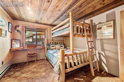 Tiny photo for 70 Cheesman Lake Circle, Divide, CO 80814 (MLS # 5467368)