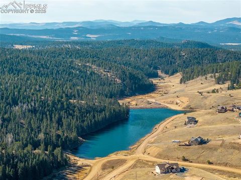 Tiny photo for 70 Cheesman Lake Circle, Divide, CO 80814 (MLS # 5467368)