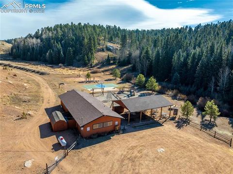 Tiny photo for 70 Cheesman Lake Circle, Divide, CO 80814 (MLS # 5467368)
