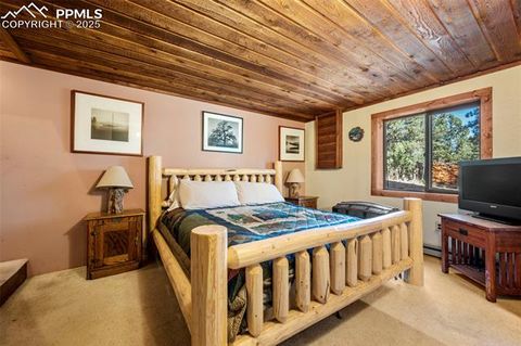 Tiny photo for 70 Cheesman Lake Circle, Divide, CO 80814 (MLS # 5467368)