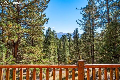 Tiny photo for 70 Cheesman Lake Circle, Divide, CO 80814 (MLS # 5467368)