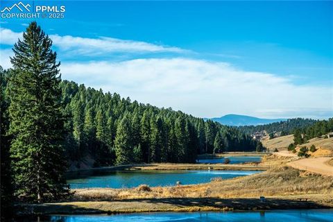 Tiny photo for 70 Cheesman Lake Circle, Divide, CO 80814 (MLS # 5467368)