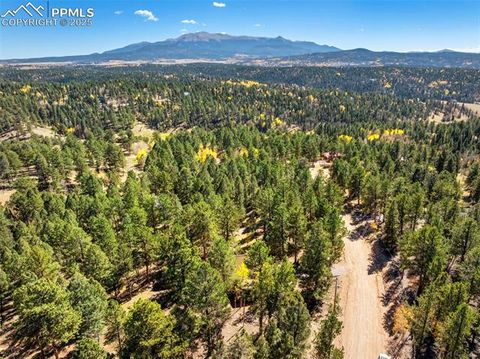 Tiny photo for 70 Cheesman Lake Circle, Divide, CO 80814 (MLS # 5467368)