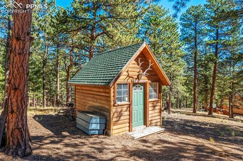 Tiny photo for 70 Cheesman Lake Circle, Divide, CO 80814 (MLS # 5467368)