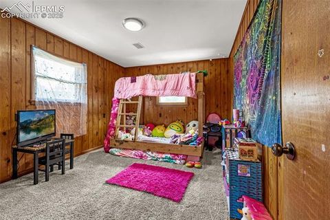 Tiny photo for 1030 Woodland Avenue, Woodland Park, CO 80863 (MLS # 7087065)