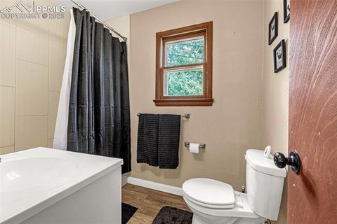 Tiny photo for 1030 Woodland Avenue, Woodland Park, CO 80863 (MLS # 7087065)