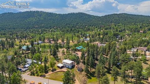 Tiny photo for 1030 Woodland Avenue, Woodland Park, CO 80863 (MLS # 7087065)