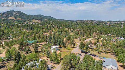 Tiny photo for 1030 Woodland Avenue, Woodland Park, CO 80863 (MLS # 7087065)