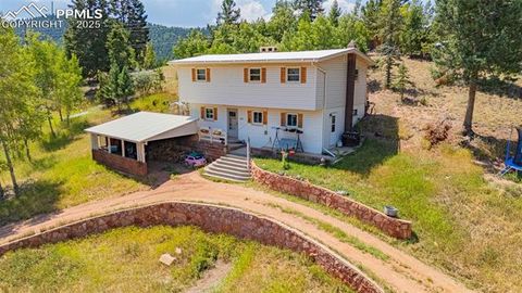 Photo of 1030 Woodland Avenue, Woodland Park, CO 80863 (MLS # 7087065)