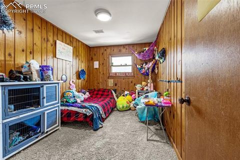 Tiny photo for 1030 Woodland Avenue, Woodland Park, CO 80863 (MLS # 7087065)