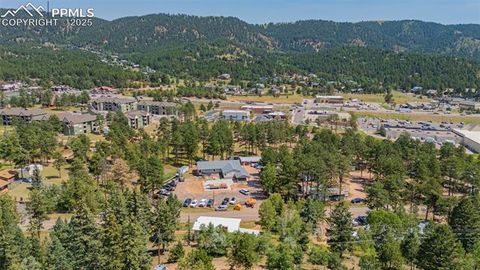 Tiny photo for 1030 Woodland Avenue, Woodland Park, CO 80863 (MLS # 7087065)