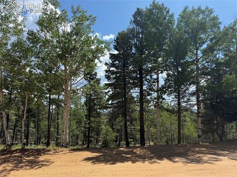 Photo of 242 Apache Creek Drive, Florissant, CO 80816 (MLS # 6907172)