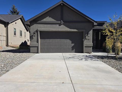Photo of 526 Brecken Court, Woodland Park, CO 80863 (MLS # R12734615)