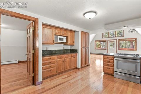 Tiny photo for 33 Vista Drive, Woodland Park, CO 80863 (MLS # 5175607)