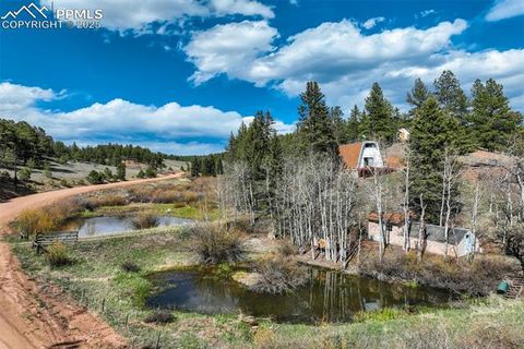1074 Pathfinder Road Florissant CO 80816