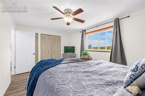 Tiny photo for 4242 Amiable Way, Colorado Springs, CO 80917 (MLS # 3626304)