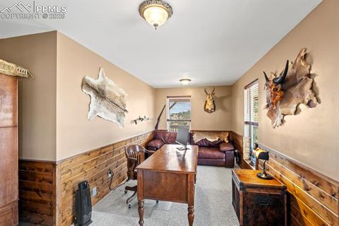 Tiny photo for 400 W Shideler Avenue, Cripple Creek, CO 80813 (MLS # 6095091)