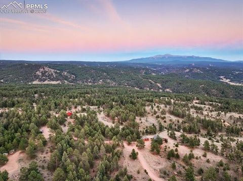 Photo of 1721 Wildhorn Road, Florissant, CO 80816 (MLS # 9761614)