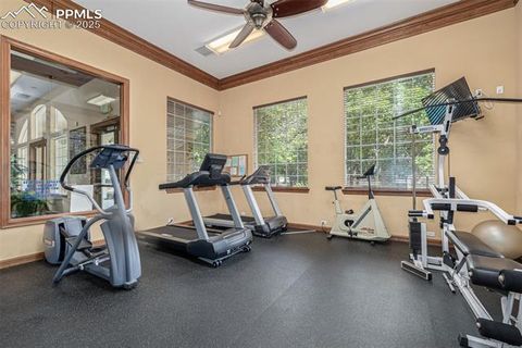 Tiny photo for 3976 Riviera Grove #203, Colorado Springs, CO 80922 (MLS # 8518687)