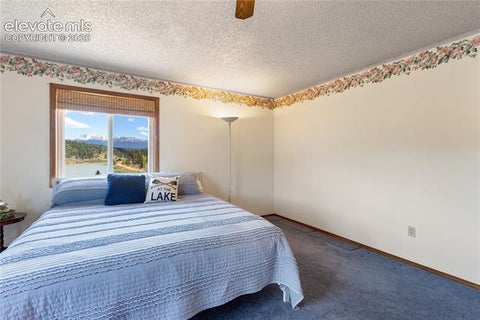 Tiny photo for 1506 Lake Place, Divide, CO 80814 (MLS # 7812423)
