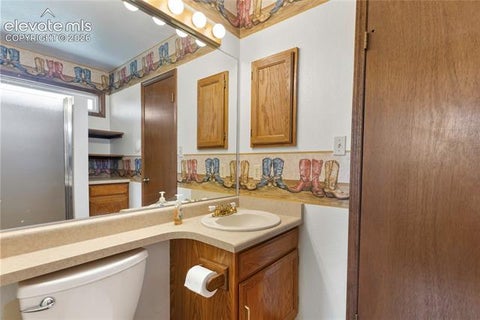Tiny photo for 1506 Lake Place, Divide, CO 80814 (MLS # 7812423)