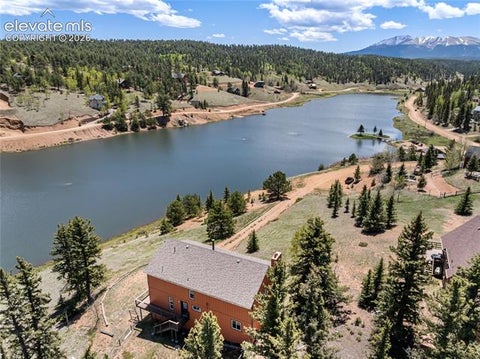 Tiny photo for 1506 Lake Place, Divide, CO 80814 (MLS # 7812423)