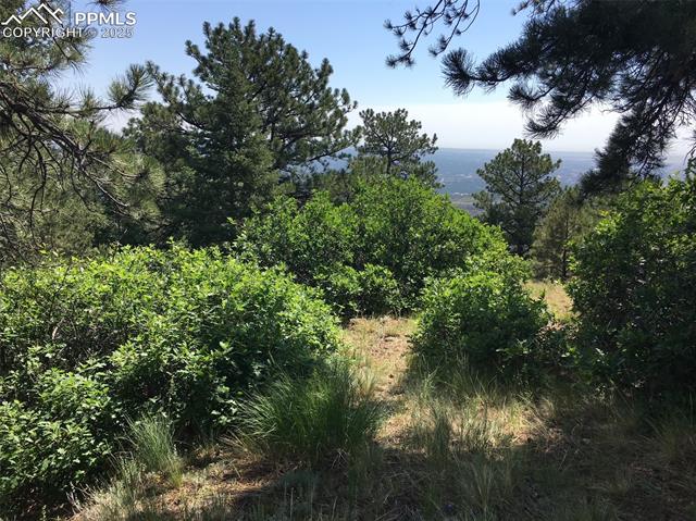 292 Sugarloaf Road