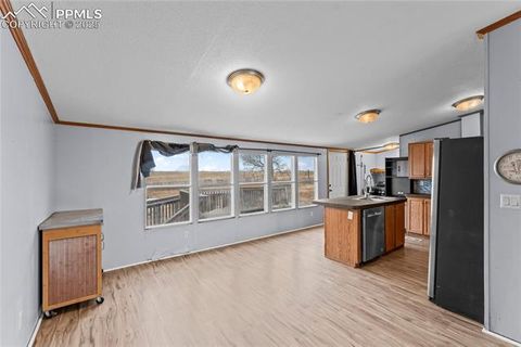 Tiny photo for 41275 Truckton Road, Rush, CO 80833 (MLS # 1289948)