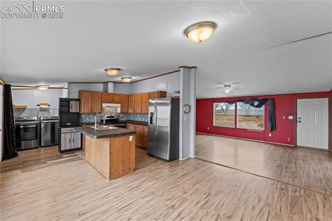 Tiny photo for 41275 Truckton Road, Rush, CO 80833 (MLS # 1289948)