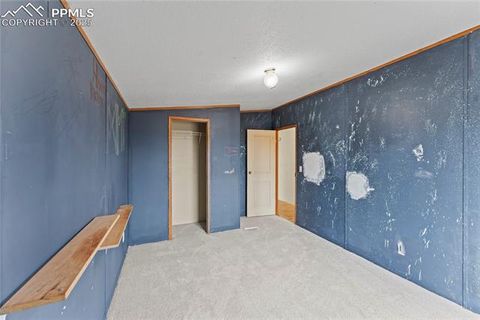 Tiny photo for 41275 Truckton Road, Rush, CO 80833 (MLS # 1289948)