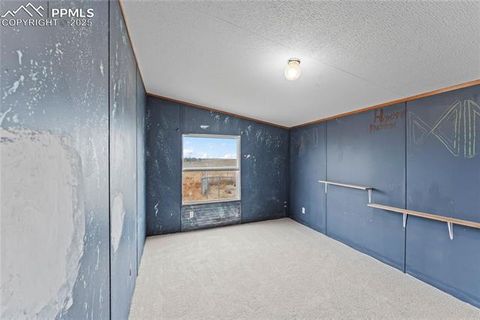 Tiny photo for 41275 Truckton Road, Rush, CO 80833 (MLS # 1289948)