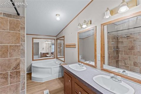 Tiny photo for 41275 Truckton Road, Rush, CO 80833 (MLS # 1289948)