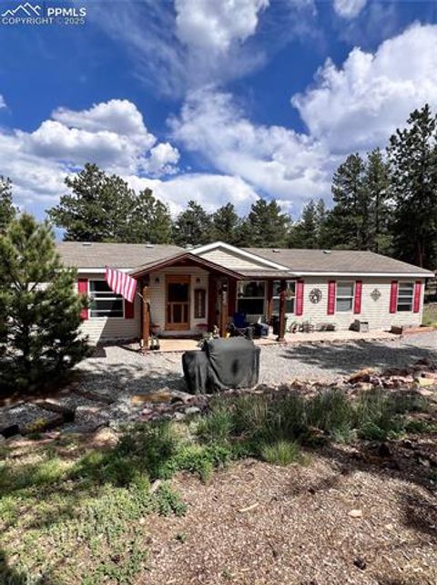 Photo of 434 Blue Mountain Drive, Florissant, CO 80816 (MLS # 1912650)