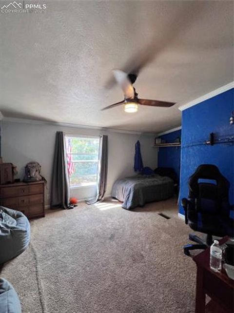 Tiny photo for 434 Blue Mountain Drive, Florissant, CO 80816 (MLS # 1912650)