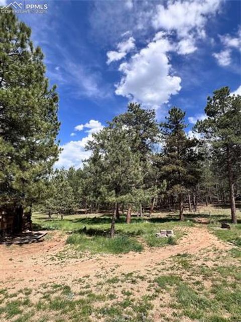 Tiny photo for 434 Blue Mountain Drive, Florissant, CO 80816 (MLS # 1912650)
