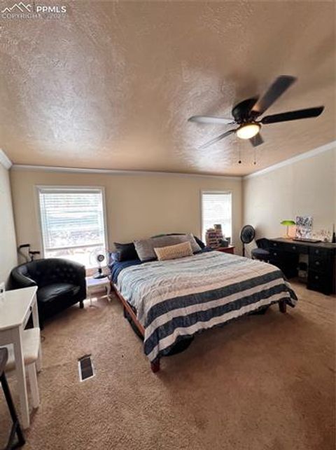 Tiny photo for 434 Blue Mountain Drive, Florissant, CO 80816 (MLS # 1912650)