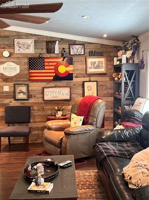 Tiny photo for 434 Blue Mountain Drive, Florissant, CO 80816 (MLS # 1912650)